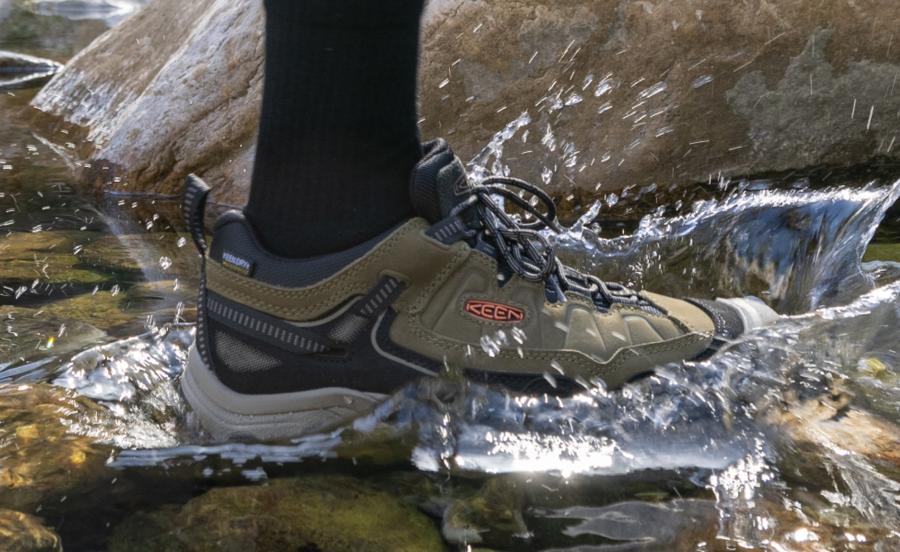 Men's Targhee IV Waterproof Hiking Shoe | Java/Bison - Image 7