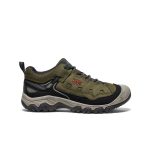 Men's Targhee IV Vented Hiking Shoe  |  Dark Olive/Gold Flame